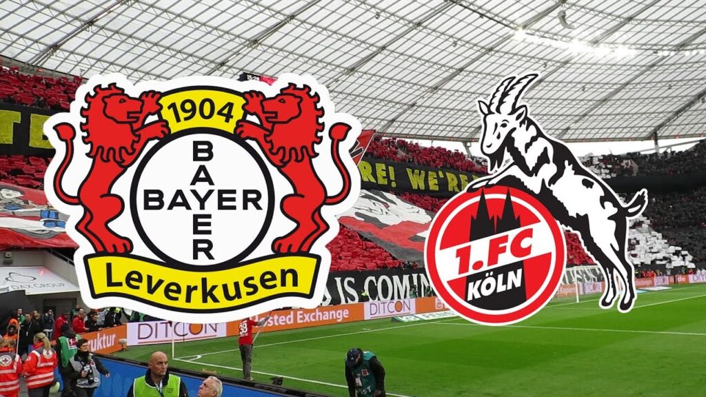 Teilnehmer: 1. FC Köln Spiele – Überblick und Teilnehmerstruktur